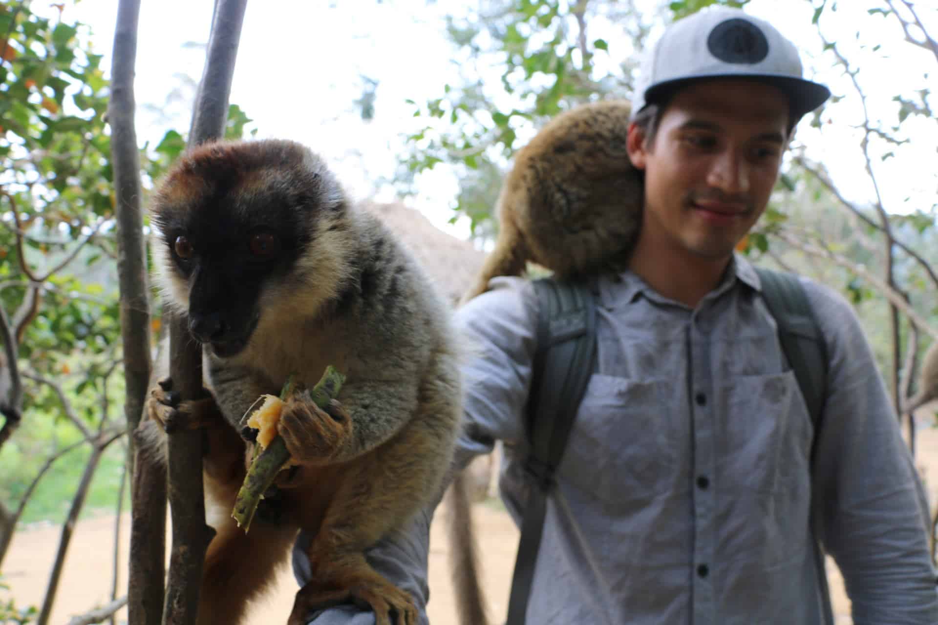 Madagaskar Urlaub Foto mit Lemuren