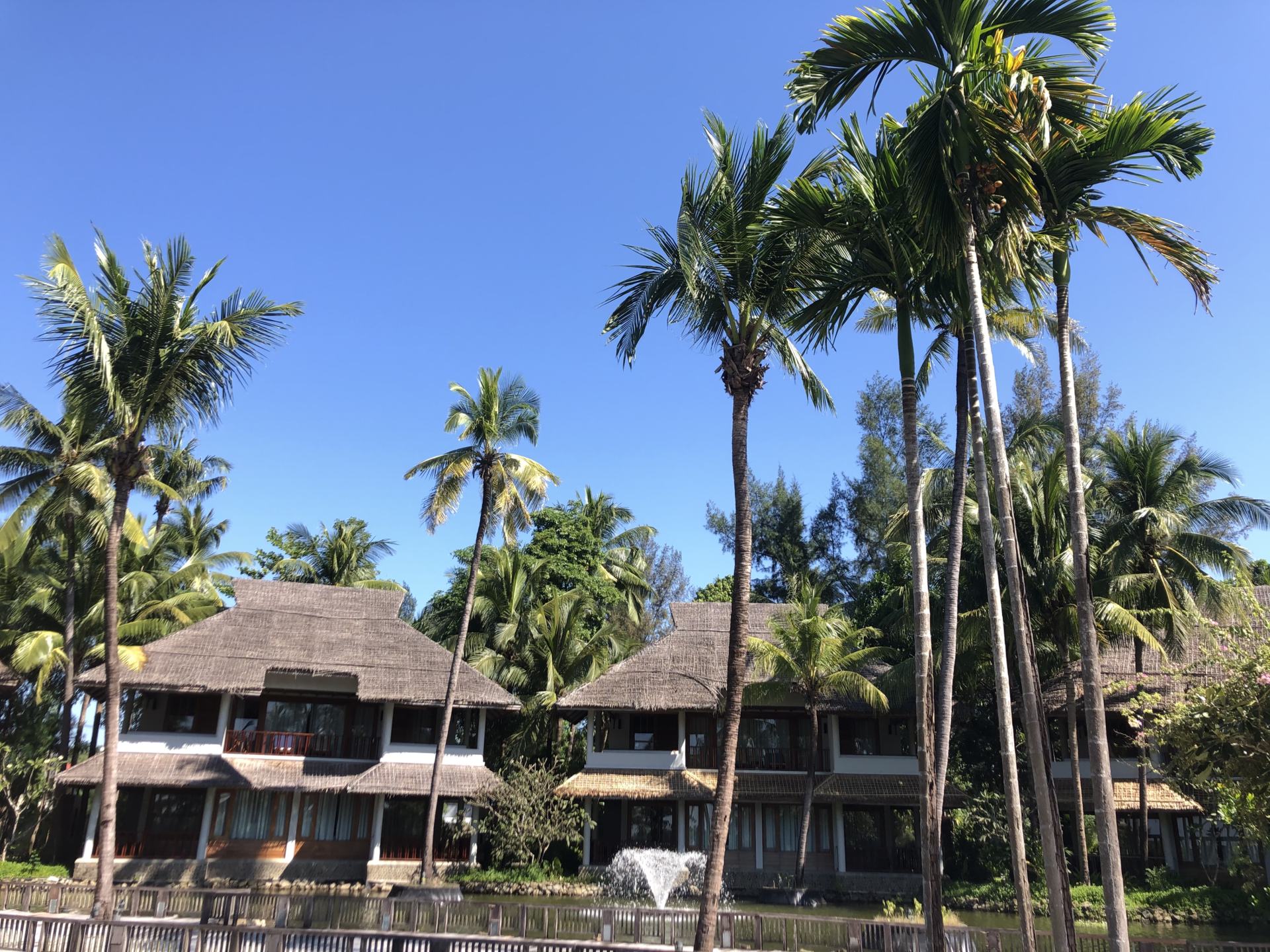 Hilton Ngapali-Myanmar-Palmen